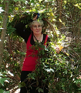 Sept 2011, gathering wisteria
